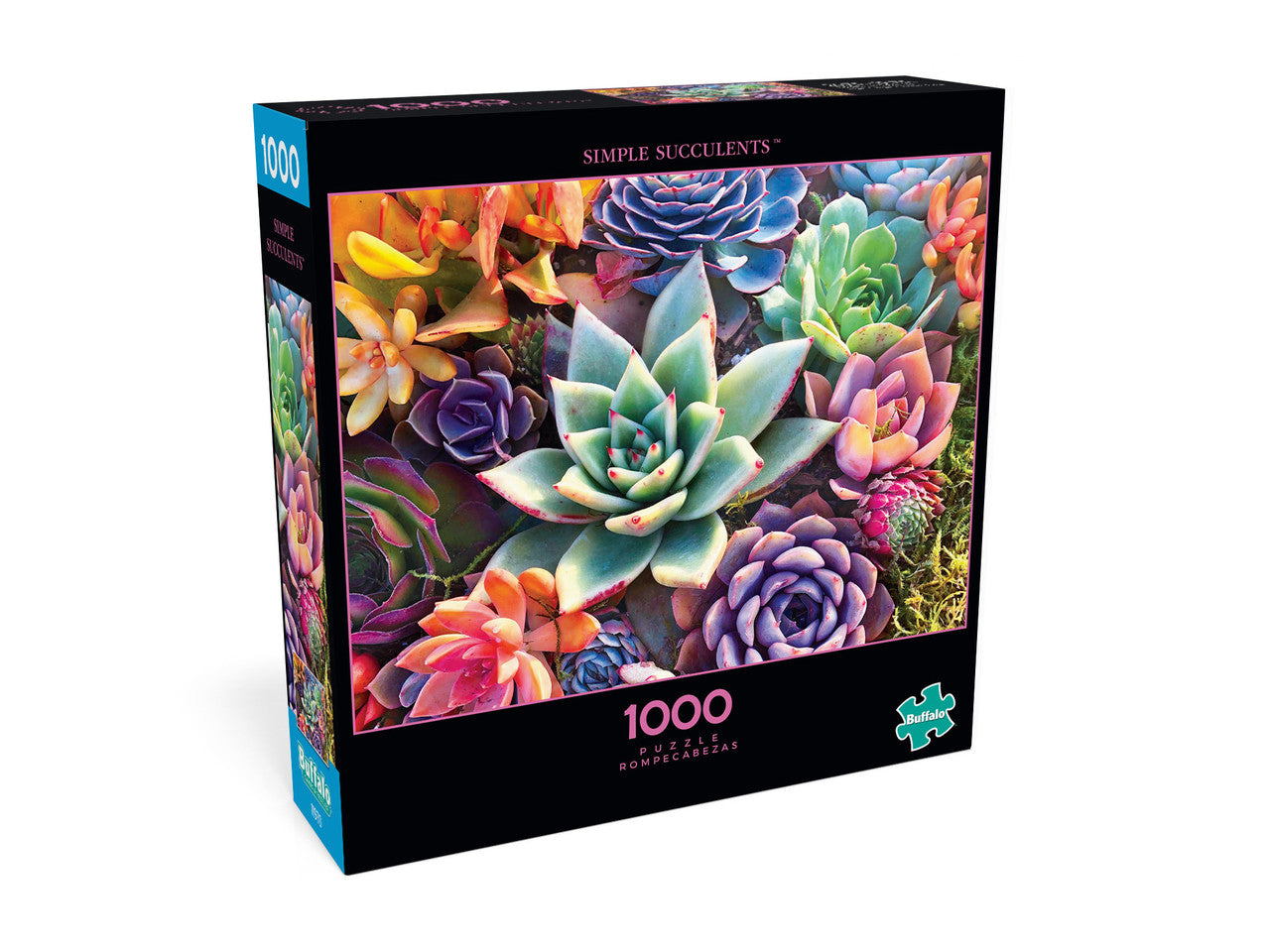 Photography Simple Succulent 1000 Piece Jigsaw Puzzle Box