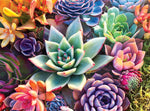 Photography Simple Succulent 1000 Piece Jigsaw Puzzle