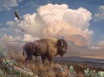 Hautman: Majestic Bison 1000 Piece Puzzle